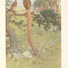 Reeves’s Pheasant (Syrmaticus reevesi). (1918-1922)-d2 by Charles Robert Knight