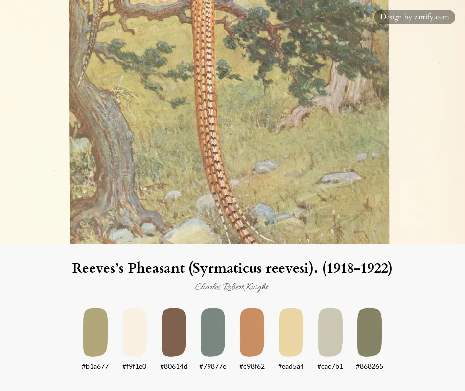 HEX color palette extracted from Reeves’s Pheasant (Syrmaticus reevesi). (1918-1922)-palette by Charles Robert Knight