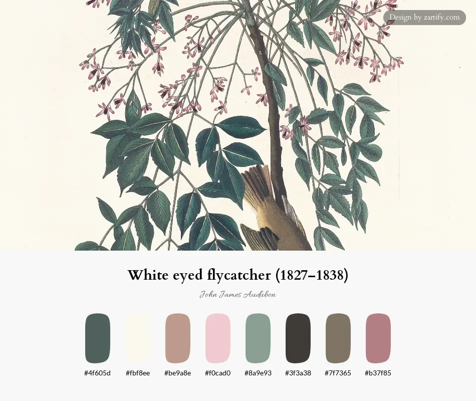 HEX color palette extracted from White eyed flycatcher (1827–1838)-palette by John James Audubon