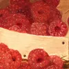 Raspberries-d1 by William Mason Brown