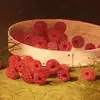 Raspberries-d2 by William Mason Brown