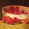 Raspberries-full by William Mason Brown
