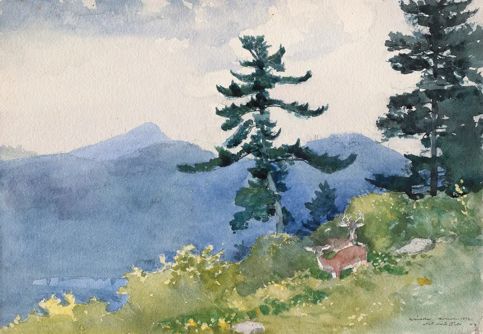 North Woods Club, Adirondacks (The Interrupted Tete-a-Tete) (1892)-full by Winslow Homer