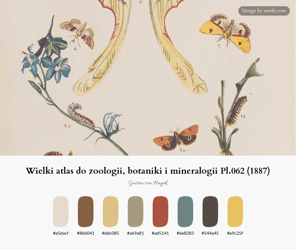 Wielki atlas do zoologii, botaniki i mineralogii Pl.062 (1887)-palette by Gustav von Hayek