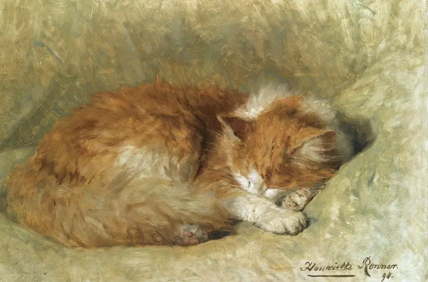 A sleeping cat (1898) by Henriëtte Ronner-Knip