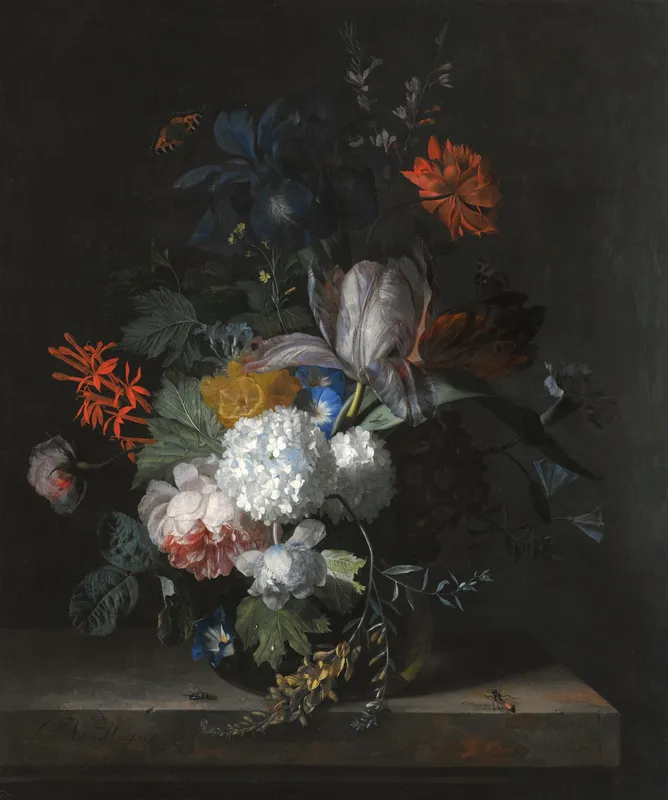 A Still Life With Hydrangea, Convolvulus, Polyanthus, Peonies, Auricula, Carnation, Tulips, Snowballs And Other Flowers In A Glass Vase by Jan van Huysum