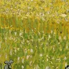 Field with flowers near Arles (1888)-d1 by Vincent van Gogh