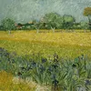 Field with flowers near Arles (1888)-full by Vincent van Gogh
