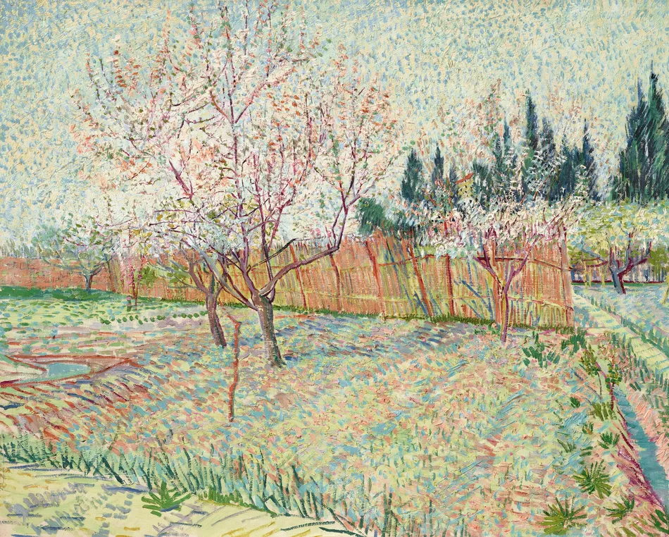 Verger avec cyprès (1888) by Vincent van Gogh