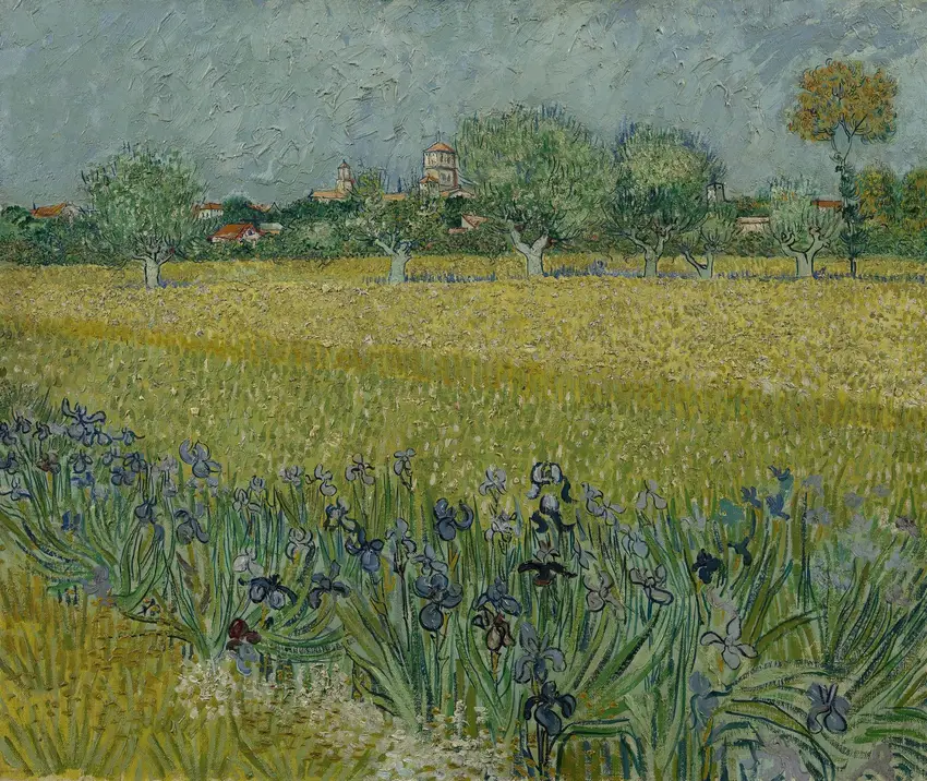 View of Arles with Irises (1888) by Vincent van Gogh