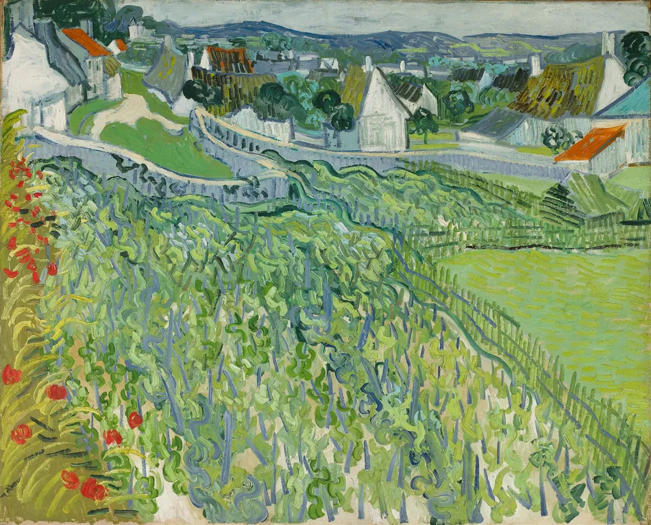 Vineyards at Auvers (1890) by Vincent van Gogh