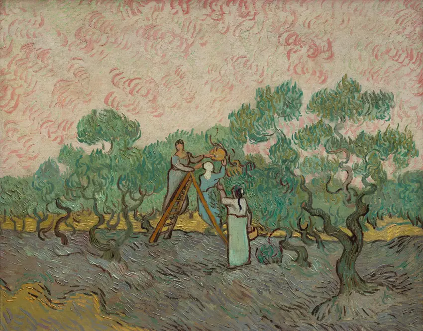 Women Picking Olives (1889) by Vincent van Gogh
