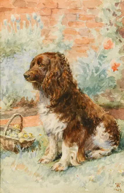 Spaniel In The Garden (1929) by English School