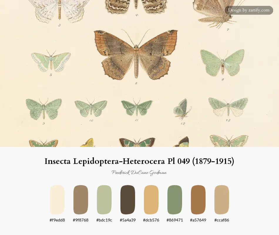 Insecta Lepidoptera-Heterocera Pl 049 (1879-1915)-palette by Frederick DuCane Godman