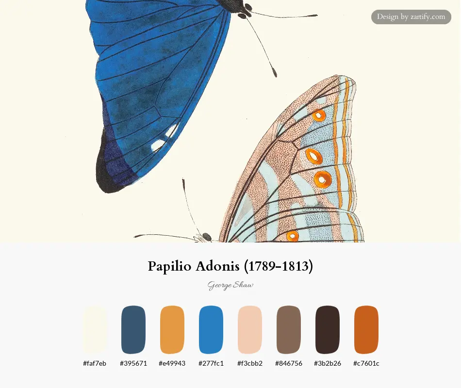Papilio Adonis (1789-1813)-palette by George Shaw