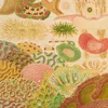 Great Barrier Reef Corals (1893)-d2 by William Saville-Kent