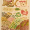 Great Barrier Reef Corals (1893)-full by William Saville-Kent