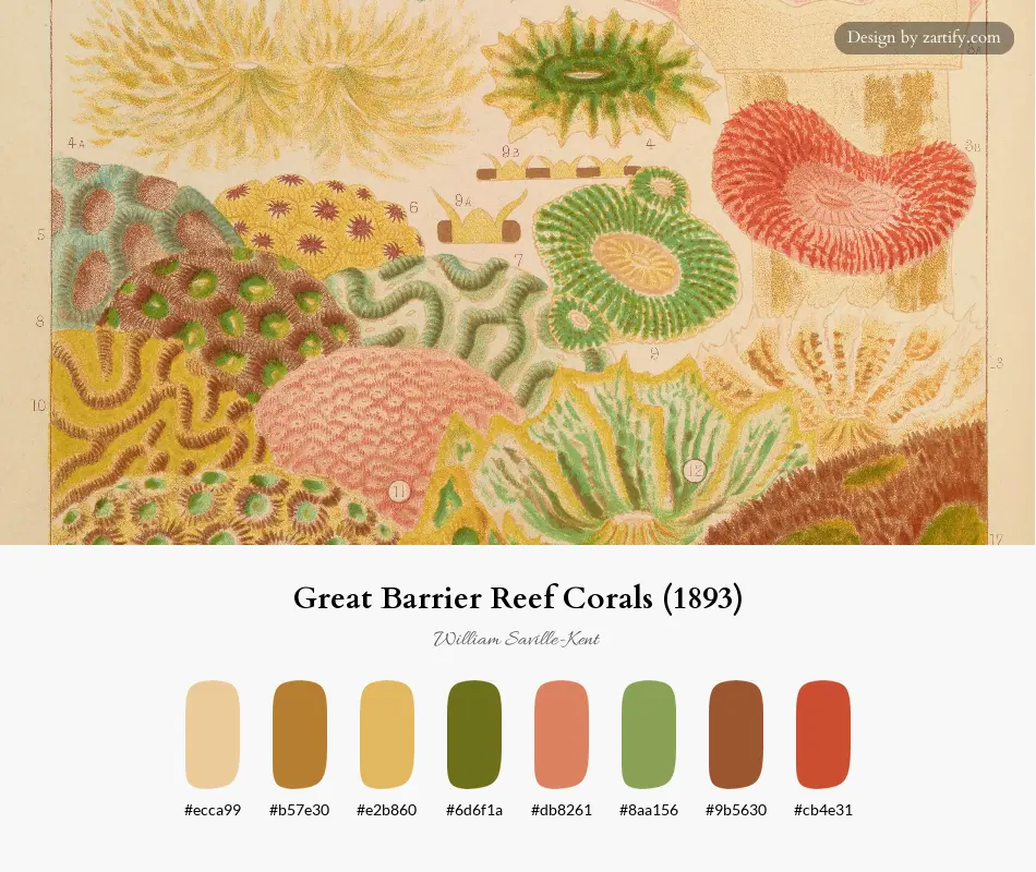 Great Barrier Reef Corals (1893)-palette by William Saville-Kent