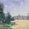 Sahurs Meadows in Morning Sun (1894)-full by Alfred Sisley