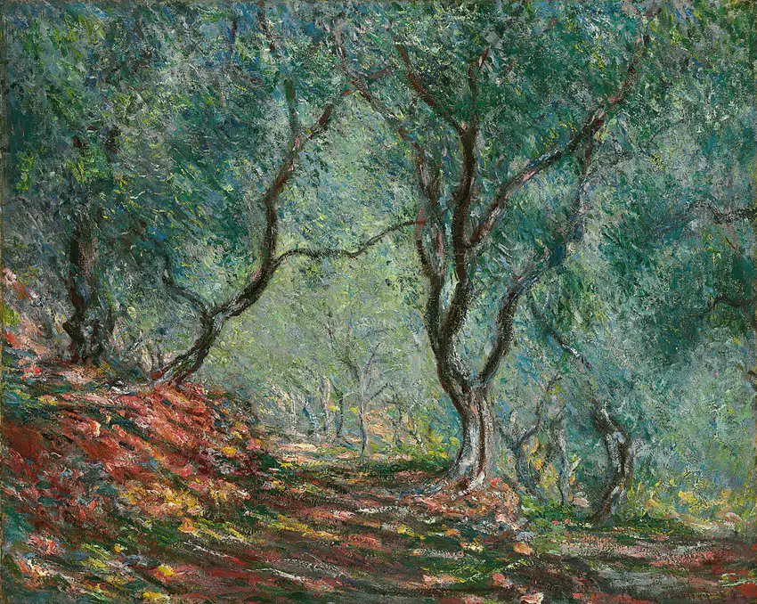 Bois d’oliviers au jardin Moreno (1884) by Claude Monet