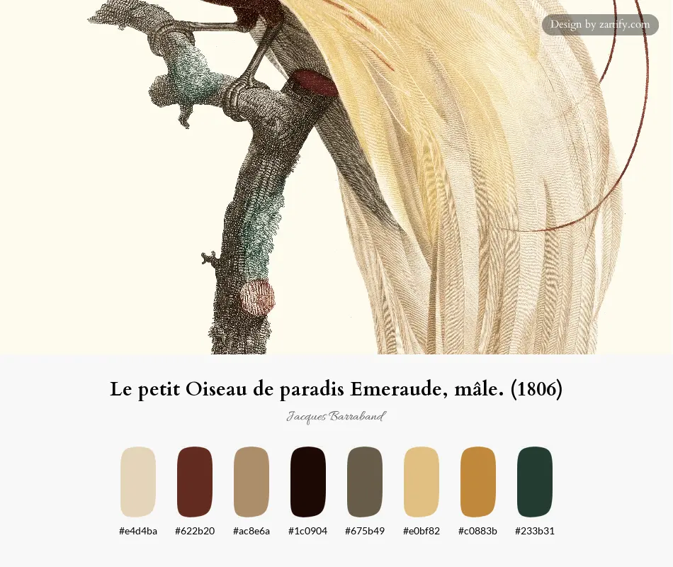Le petit Oiseau de paradis Emeraude, mâle. (1806)-palette by Jacques Barraband