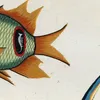 Poissons, ecrevisses et crabes, de diverses couleurs et figures extraordinaires.. Pl.012 (1718-1719)-d1 by Louis Renard