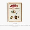 Poissons, ecrevisses et crabes, de diverses couleurs et figures extraordinaires.. Pl.012 (1718-1719)-frame by Louis Renard