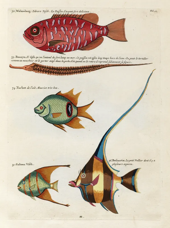 Poissons, ecrevisses et crabes, de diverses couleurs et figures extraordinaires.. Pl.012 (1718-1719)-full by Louis Renard