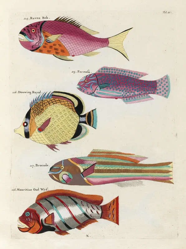 Poissons, ecrevisses et crabes, de diverses couleurs et figures extraordinaires.. Pl.021 (1718-1719)-full by Louis Renard