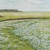 A Vast Summer Landscape-d2 by Jacob Alberts