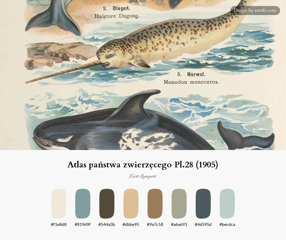 Atlas państwa zwierzęcego Pl.28 (1905)-palette by Kurt Lampert