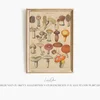 Abbildungen zu Oken’s Allgemeiner Naturgeschichte für alle Stände Pl.007 (1841)-frame by Lorenz Oken