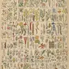Abbildungen zu Oken’s Allgemeiner Naturgeschichte für alle Stände Pl.021 (1841)-full by Lorenz Oken