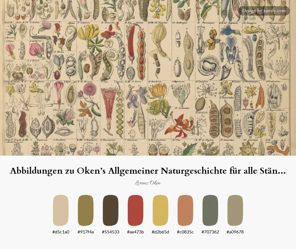 HEX color palette extracted from Abbildungen zu Oken’s Allgemeiner Naturgeschichte für alle Stände Pl.021 (1841)-palette by Lorenz Oken