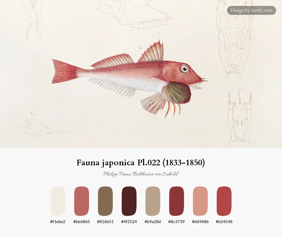 Fauna japonica Pl.022 (1833-1850)-palette by Philipp Franz Balthasar von Siebold