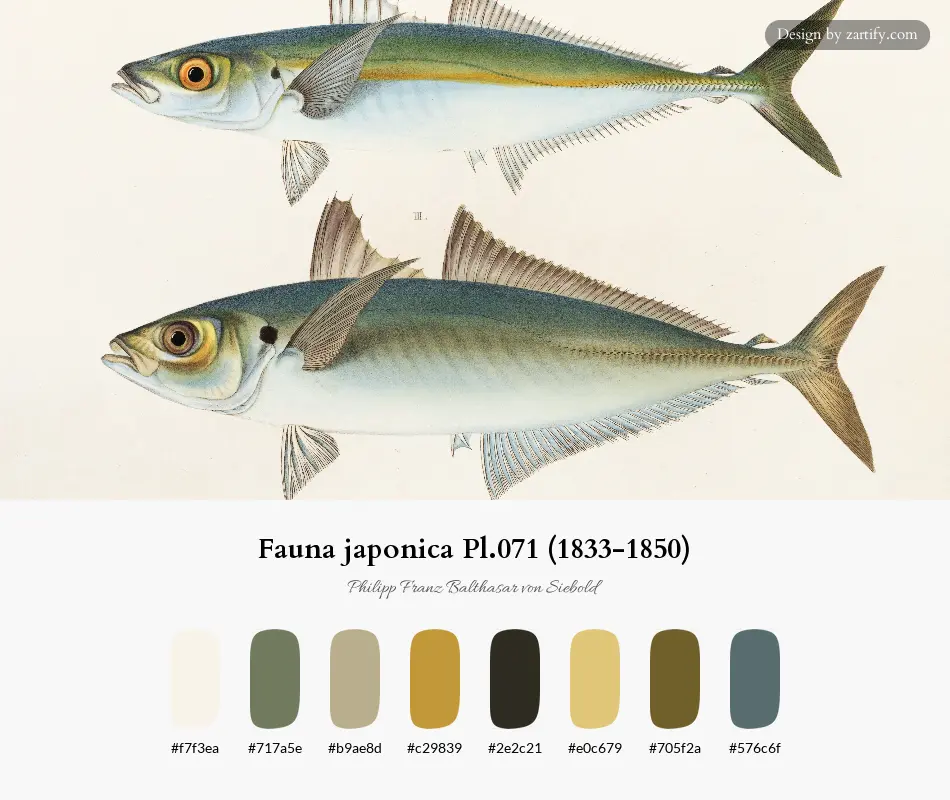 Fauna japonica Pl.071 (1833-1850)-palette by Philipp Franz Balthasar von Siebold