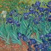 Irises (1889) by vincent van gogh 1