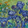 Irises (1889) by vincent van gogh 2