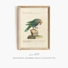 Ornithologia methodice digesta Pl.120 (1767-1776)-frame by Saverio Manetti