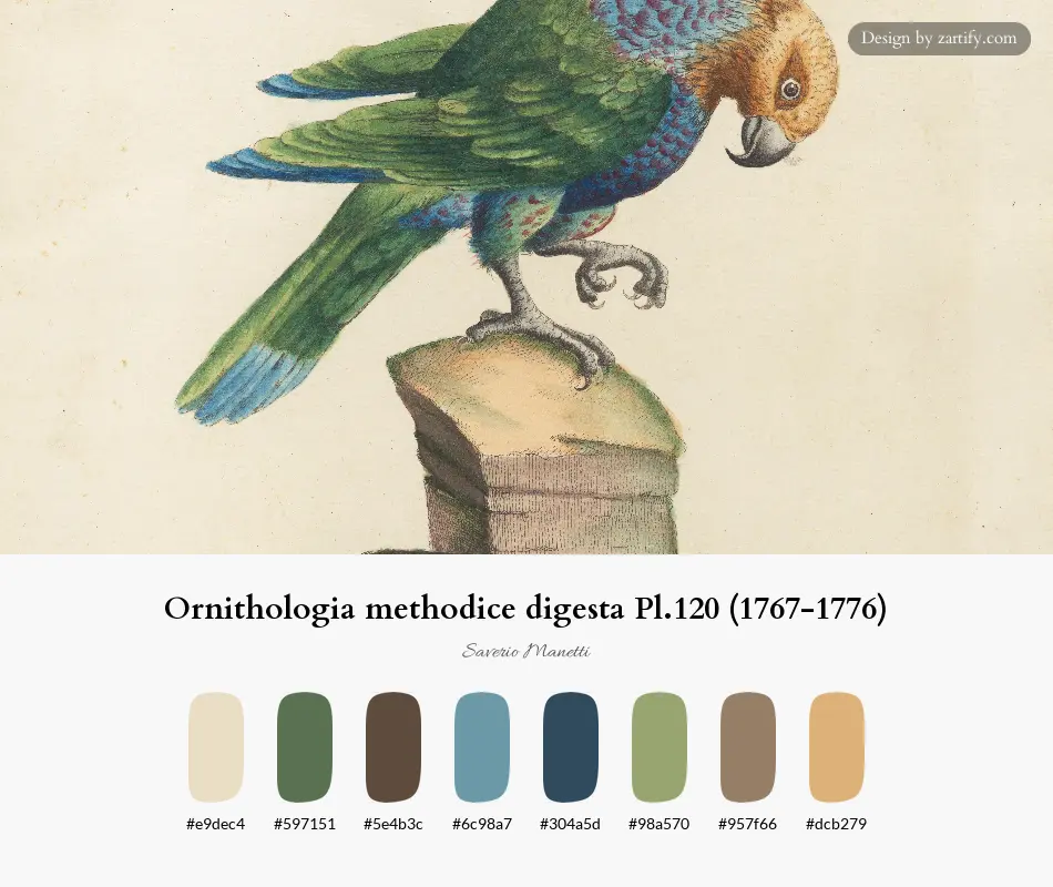 HEX color palette extracted from Ornithologia methodice digesta Pl.120 (1767-1776)-palette by Saverio Manetti