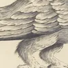 Ornithologia methodice digesta Pl.222 (1767-1776)-d1 by Saverio Manetti