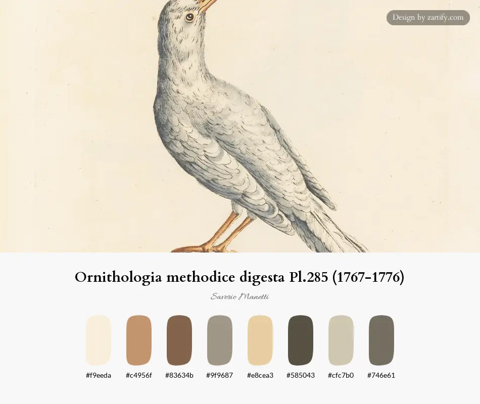 Ornithologia methodice digesta Pl.285 (1767-1776)-palette by Saverio Manetti