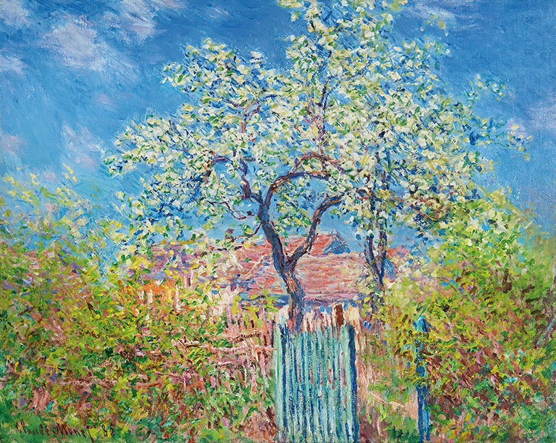 Poirier En Fleurs (1885)