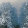 Winter Landscape (1876)-d2 by Ivan Konstantinovich Aivazovsky