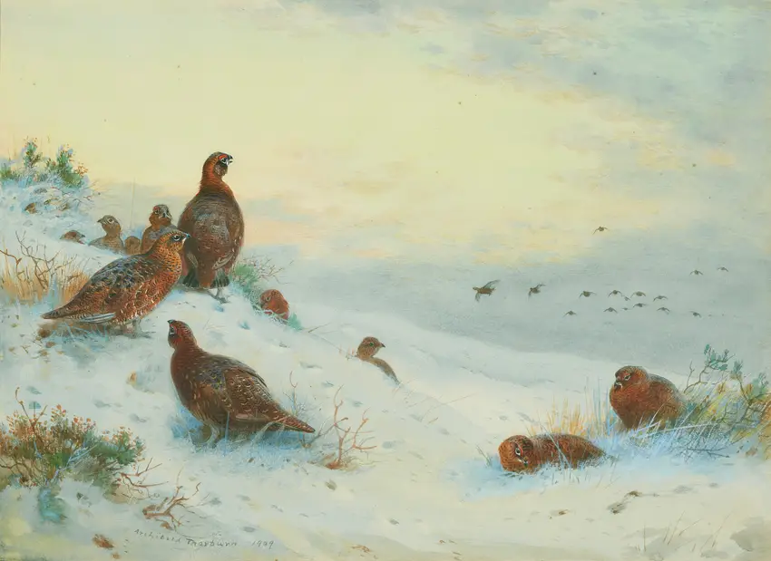 End of the season by Archibald Thorburn