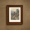 Western Tragopan (Tragopan melanocephalus). (1918-1922)-frame by Archibald Thorburn