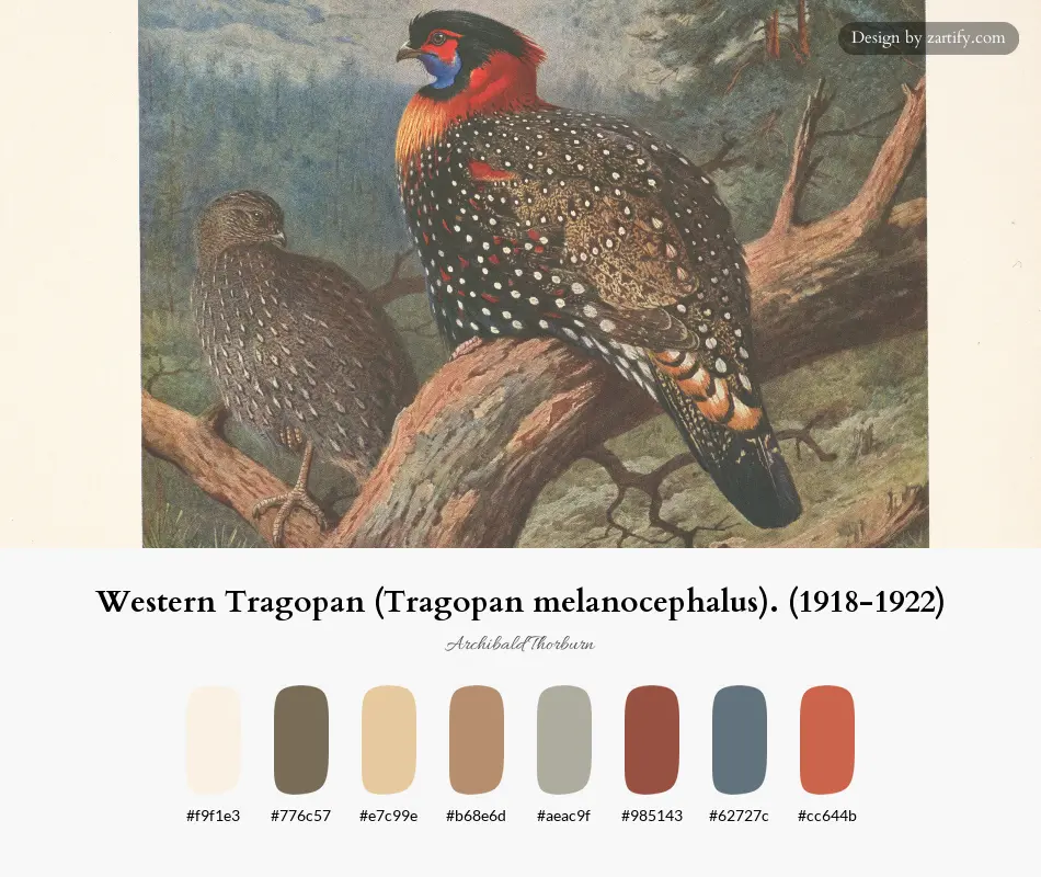 Western Tragopan (Tragopan melanocephalus). (1918-1922)-palette by Archibald Thorburn