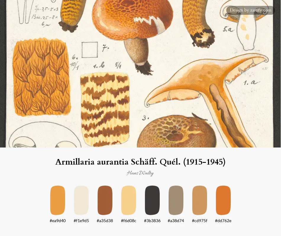 HEX color palette extracted from Armillaria aurantia Schäff. Quél. (1915-1945)-palette by Hans Walty