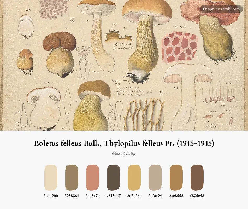 Boletus felleus Bull., Thylopilus felleus Fr. (1915-1945)-palette by Hans Walty