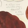 Boletus pinicola Venturi, Vittadini (1915-1945)-d1 by Hans Walty